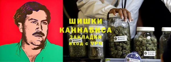 2c-b Шадринск