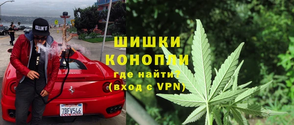 гидропоника Шали