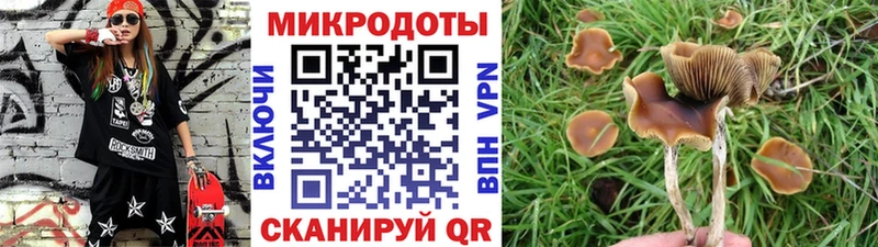 Галлюциногенные грибы мухоморы  Безенчук 